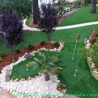 Synthetic Turf Supplier Milwaukee, Wisconsin Rooftop, Backyard Design