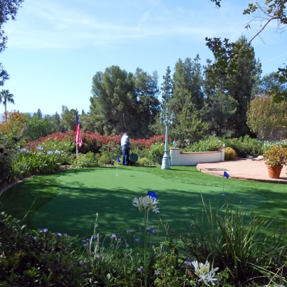 Artificial Turf Cost Plain, Wisconsin Best Indoor Putting Green, Backyards