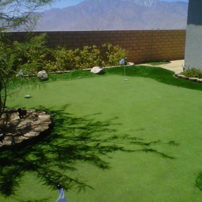 Fake Grass Green Bay, Wisconsin Landscape Ideas, Backyard Landscaping