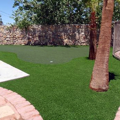 Fake Turf Avoca, Wisconsin Putting Green Turf, Backyard Landscaping Ideas