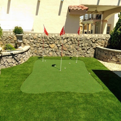 Faux Grass Oneida, Wisconsin Indoor Putting Greens, Backyards