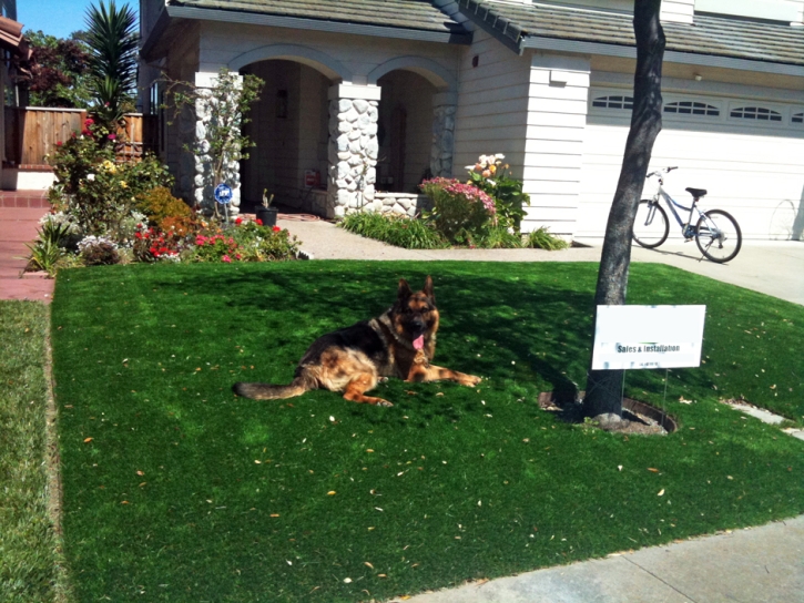 Artificial Grass Carpet Jackson, Wisconsin Design Ideas, Grass for Dogs