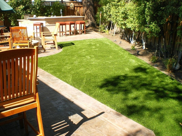 Best Artificial Grass Como, Wisconsin Gardeners, Backyard Landscaping