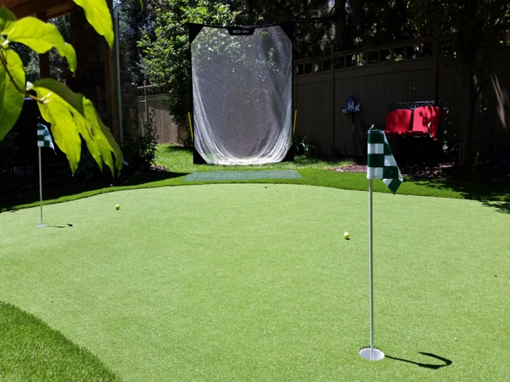 Best Artificial Grass Melvina, Wisconsin Indoor Putting Green, Backyard