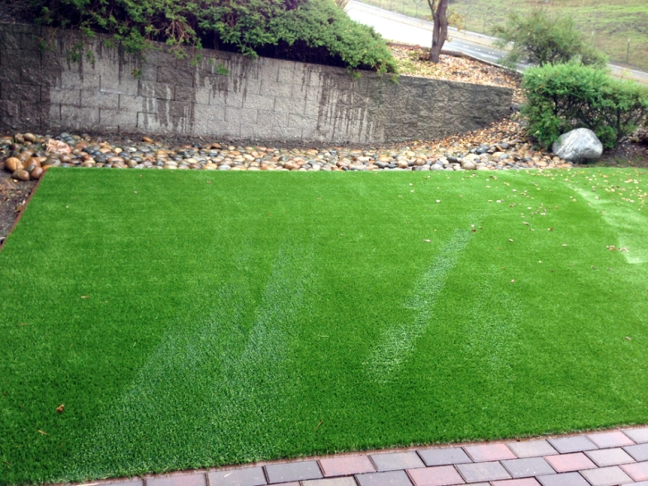 Fake Grass Carpet Elm Grove, Wisconsin Landscape Ideas, Backyard Ideas