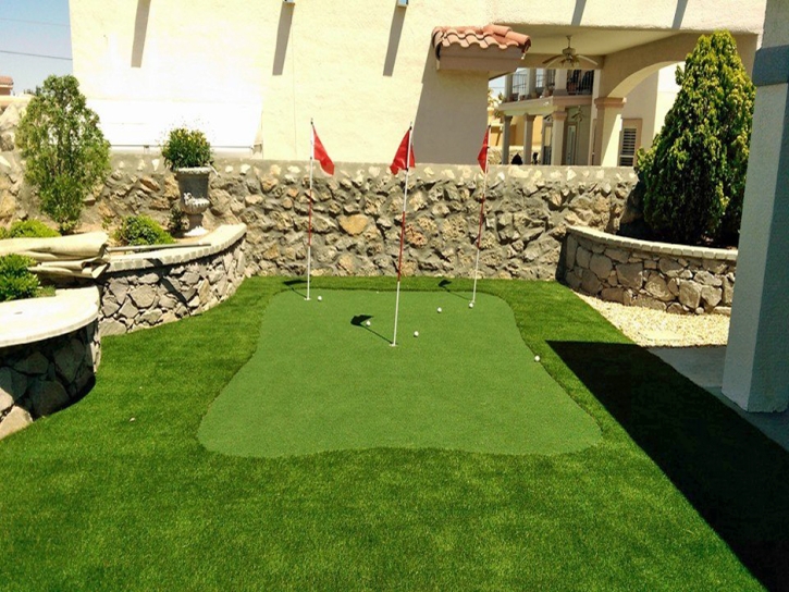 Faux Grass Oneida, Wisconsin Indoor Putting Greens, Backyards