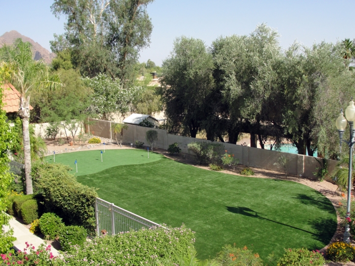 Lawn Services Potter, Wisconsin Outdoor Putting Green, Backyard Design