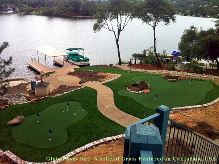 Turf Grass Glendale, Wisconsin How To Build A Putting Green, Backyard Design